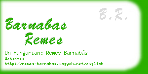 barnabas remes business card