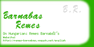 barnabas remes business card